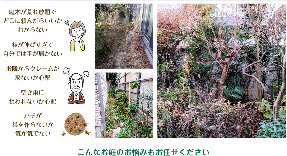 こんなお庭のお悩みもお任せください