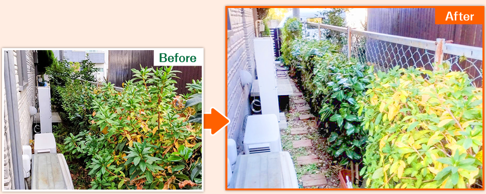 お庭のお手入れ事例1