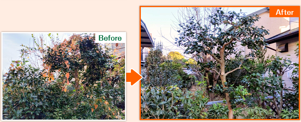 お庭のお手入れ事例2